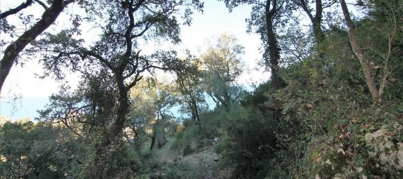 9000m² Hotel in Corfu, Greece No. 5334 20