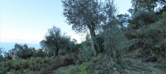 9000m² Hotel in Corfu, Greece No. 5334 8