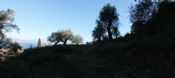 9000m² Hotel in Corfu, Greece No. 5334 6