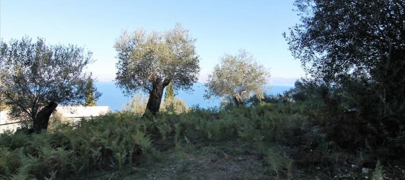 9000m² Hotel in Corfu, Greece No. 5334 7