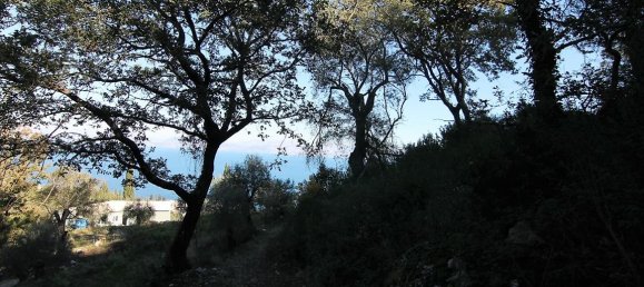 9000m² Hotel in Corfu, Greece No. 5334 12