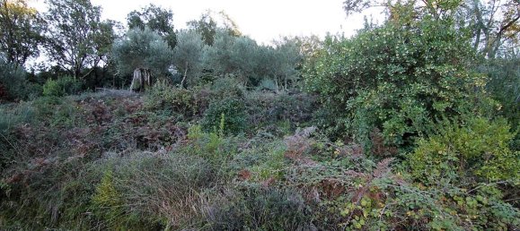 9000m² Hotel in Corfu, Greece No. 5334 9