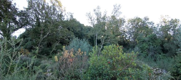 9000m² Hotel in Corfu, Greece No. 5334 15