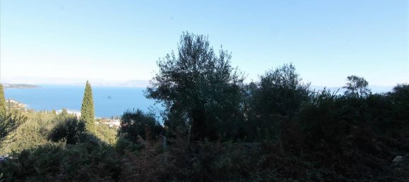 9000m² Hotel in Corfu, Greece No. 5334 11