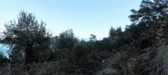 9000m² Hotel in Corfu, Greece No. 5334 10