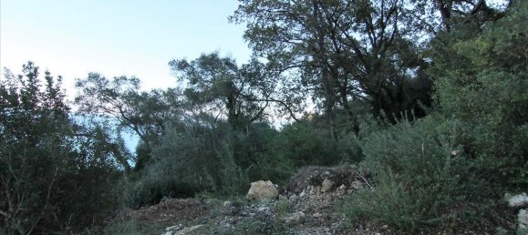 9000m² Hotel in Corfu, Greece No. 5334 16