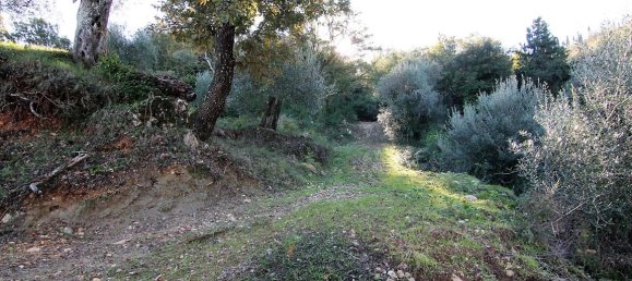 9000m² Hotel in Corfu, Greece No. 5334 4