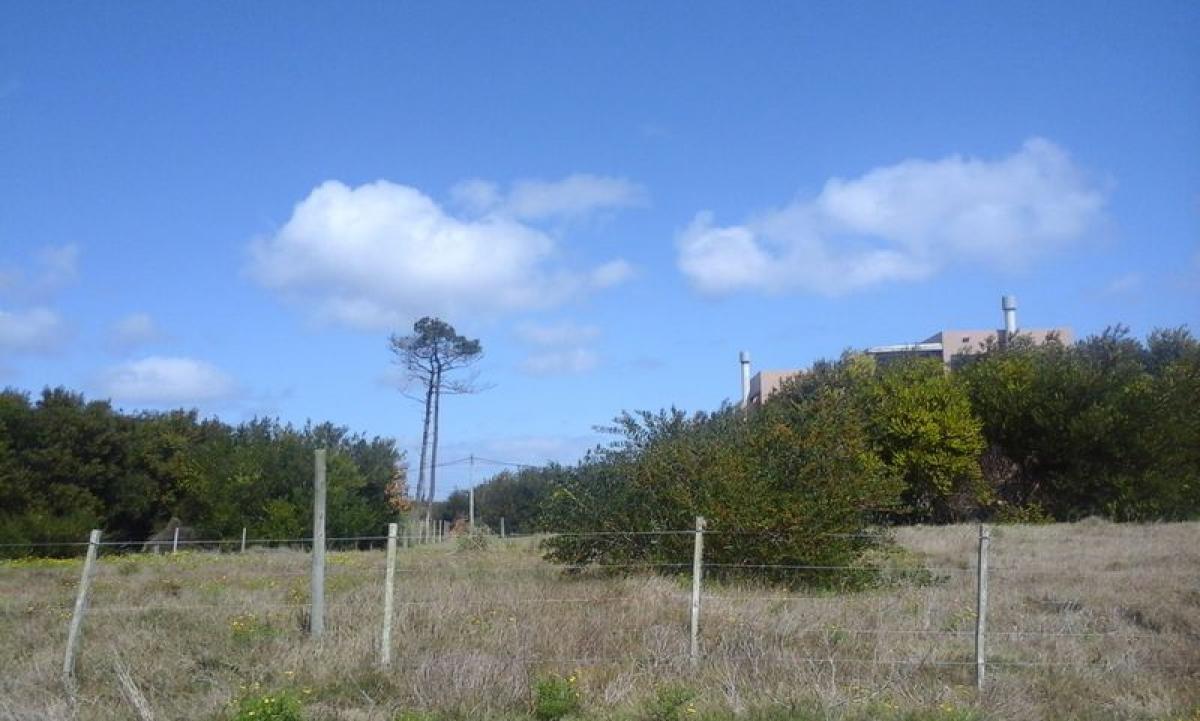  Land in Maldonado, Uruguay No. 14031