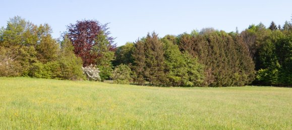 Terreno em Cham, Germany N.º 170817 4