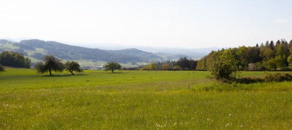 Terreno em Cham, Germany N.º 170817 2