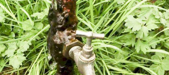 Terreno em Cham, Germany N.º 170817 13