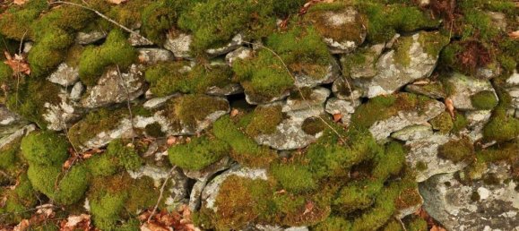 Terreno em Cham, Germany N.º 170817 11