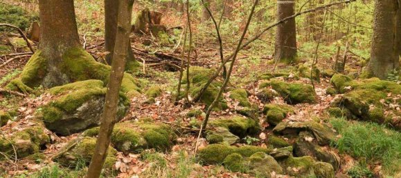 Terreno em Cham, Germany N.º 170817 12