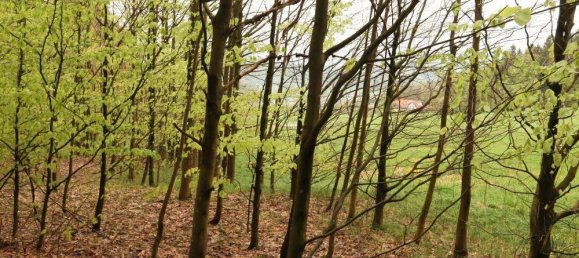 Terreno em Cham, Germany N.º 170817 7