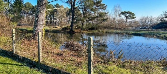 Casa de 6 dormitorios en Razac-sur-l'Isle, France No. 105381 8
