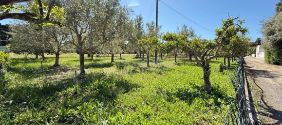 Villa T3 em Syracuse, Italy N.º 315536 49