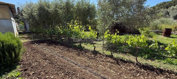 Villa T3 em Syracuse, Italy N.º 315536 32