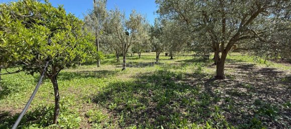 Villa T3 em Syracuse, Italy N.º 315536 48