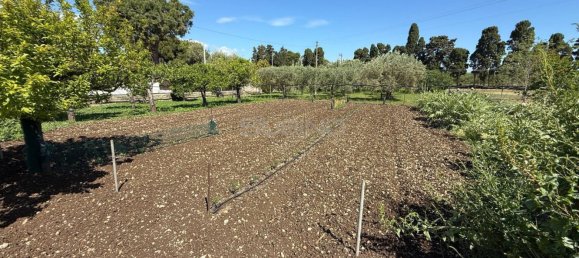 Villa T3 em Syracuse, Italy N.º 315536 45