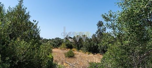 Grundstück in Loule, Portugal 2055m², Nr. 37660 23