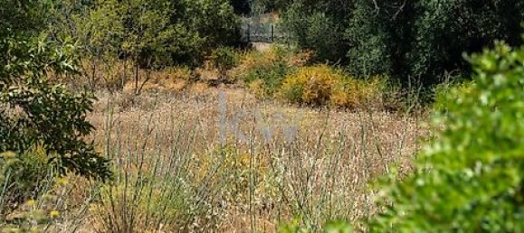 Grundstück in Loule, Portugal 2055m², Nr. 37660 12