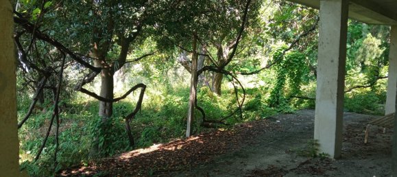 Вилла с 4 спальнями в Сан Лучидо, Италия № 70000 26