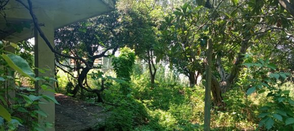 Вилла с 4 спальнями в Сан Лучидо, Италия № 70000 25