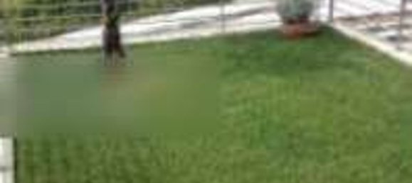 3 rooms Apartment in Santa Maria Nuova, Italy No. 10650 12