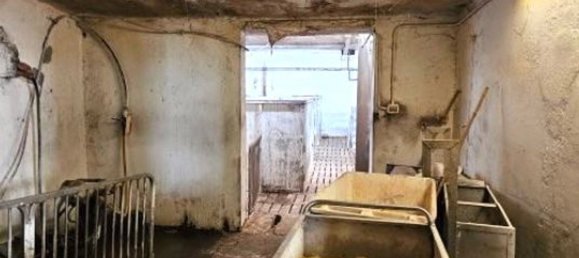 8 rooms Villa in Marcaria, Italy No. 338433 42