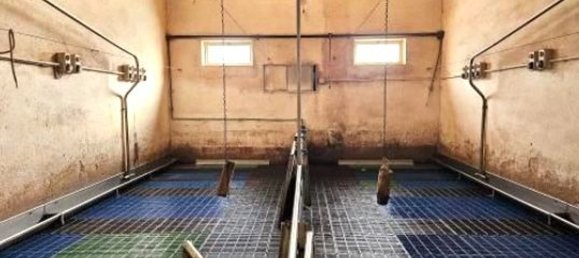 8 rooms Villa in Marcaria, Italy No. 338433 41