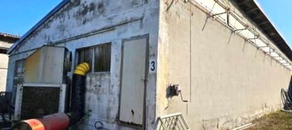 8 rooms Villa in Marcaria, Italy No. 338433 34