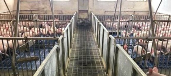 8 rooms Villa in Marcaria, Italy No. 338433 39