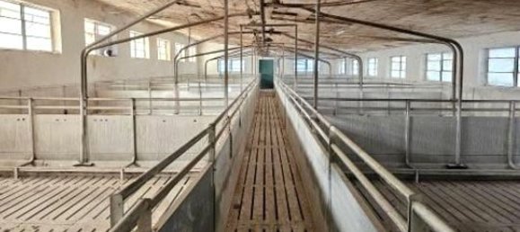 8 rooms Villa in Marcaria, Italy No. 338433 46