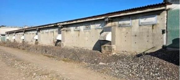 8 rooms Villa in Marcaria, Italy No. 338433 35