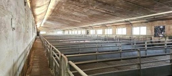 8 rooms Villa in Marcaria, Italy No. 338433 43