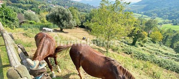 Villa de 6 dormitorios en Cenate Sotto, Italy No. 348640 12