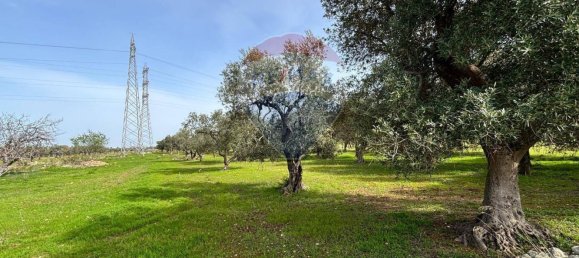 Terrain à Bari, Italy No. 364684 5