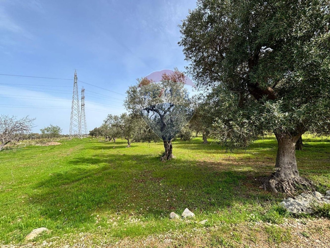 Terrain à Bari, Italy No. 364684