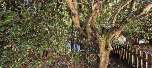 5 rooms Villa in Rocca di Papa, Italy No. 294896 22