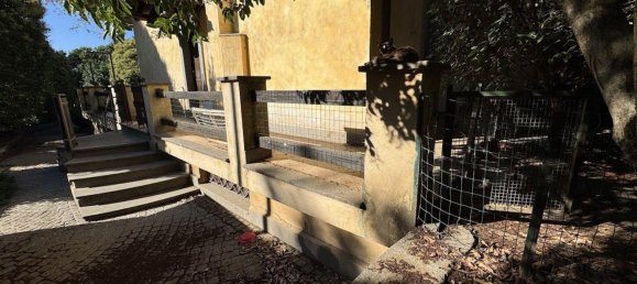 5 rooms Villa in Rocca di Papa, Italy No. 294896 21