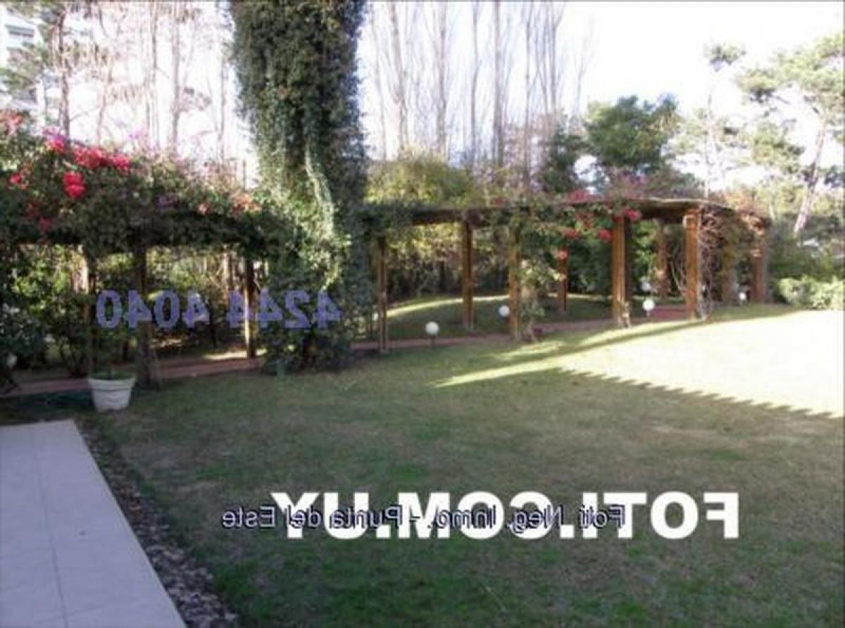 5 Schlafzimmer Haus in Punta del Este, Uruguay, Nr. 8868