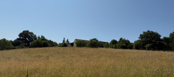 7 chambres Maison à Sainte-Thérence, France No. 190687 9