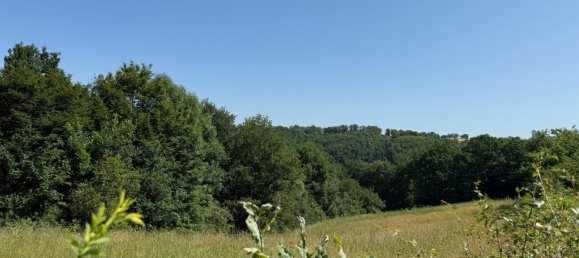 7 chambres Maison à Sainte-Thérence, France No. 190687 10