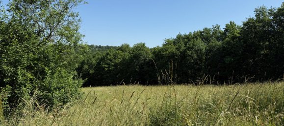 7 chambres Maison à Sainte-Thérence, France No. 190687 3