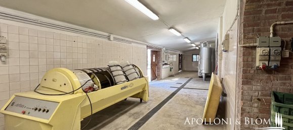 5 bedrooms Land in Cetona, Italy No. 53660 23