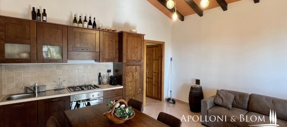 5 bedrooms Land in Cetona, Italy No. 53660 17