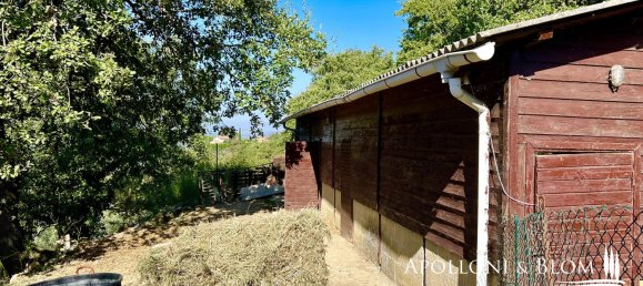 5 bedrooms Land in Cetona, Italy No. 53660 20