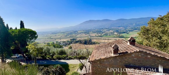 5 bedrooms Land in Cetona, Italy No. 53660 28