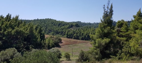1100m² Property for sale in Chalkidiki, Central Macedonia, Macedonia and Thrace, Greece № 5507 8