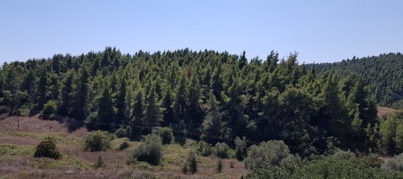 1100m² Property for sale in Chalkidiki, Central Macedonia, Macedonia and Thrace, Greece № 5507 9